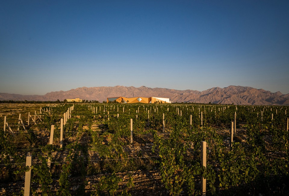 01 a+a Ningxia winery_01_72dpi