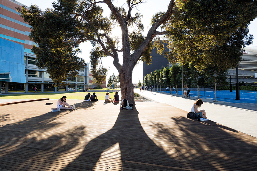014-Monash University Caulfield Campus Green by TCL-2