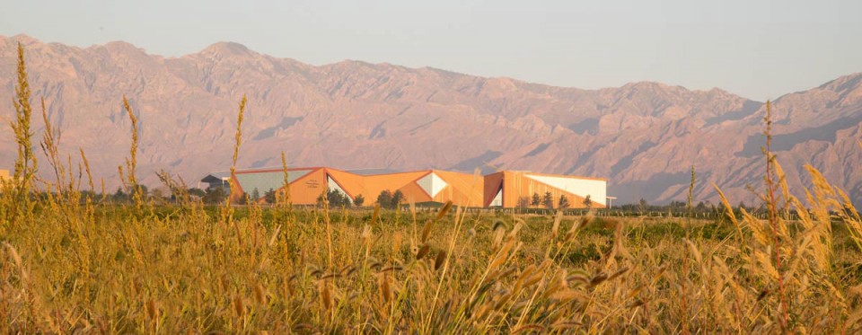 02 a+a Ningxia winery_18_72dpi