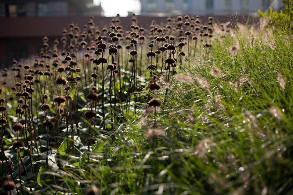 022-Amstelveen Zonnehuis Care Home Landscape by HOSPER