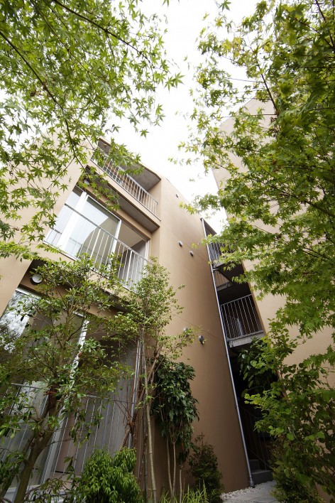 003-between trees by tailored design lab
