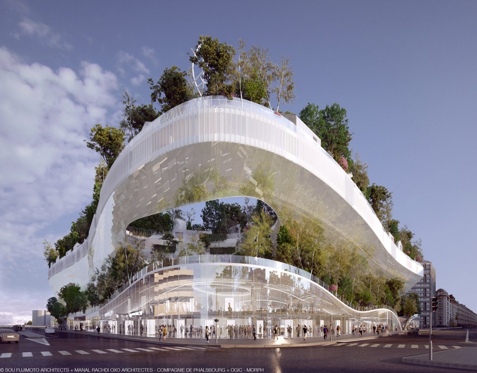 01 Image3-c “Mille Arbres” (“Thousand Trees”)