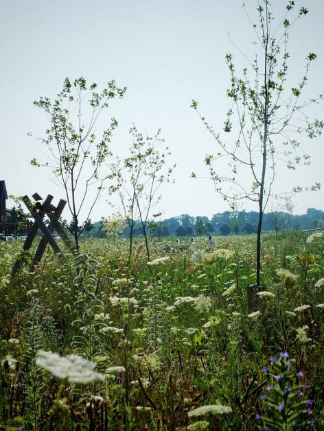 010-Landscape Park Noordrand by HOSPER
