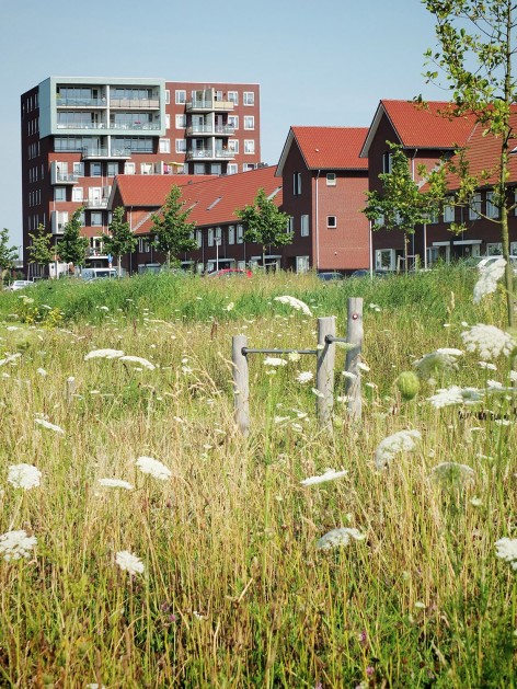 011-Landscape Park Noordrand by HOSPER
