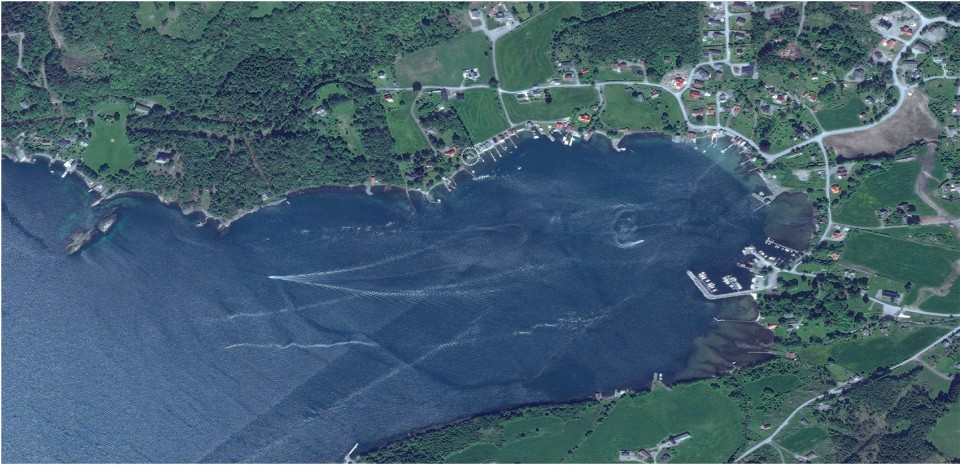 Site