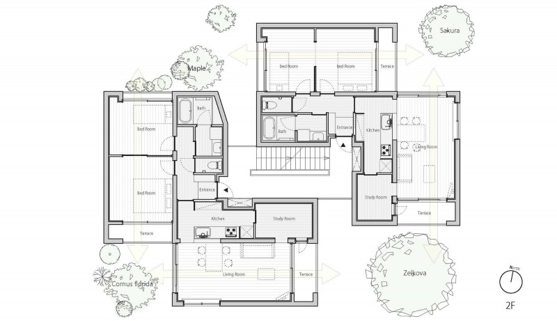 021-between trees by tailored design lab