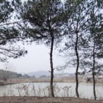 花海山房，武汉 / UAO