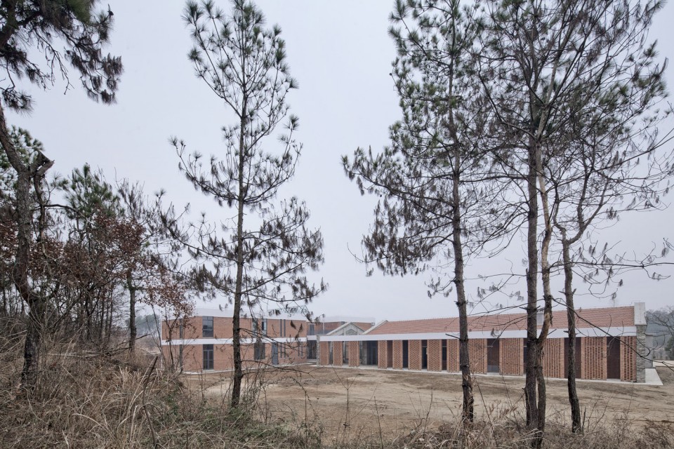 图03基地背后的松林