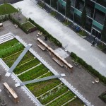 药理花园，瑞士 / Thorbjörn Andersson with Sweco Architects