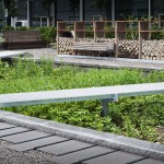 药理花园，瑞士 / Thorbjörn Andersson with Sweco Architects