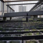 西村·贝森大院，成都／家琨建筑设计事务所
