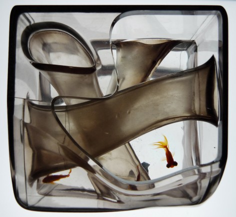 07 MAD_A001_Fish Tank_p_04_modle_by Fang Zhenning we-work-for-mad-77