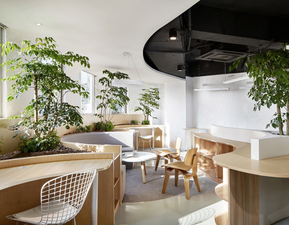 Scenic beauty meets elegance inside an office2