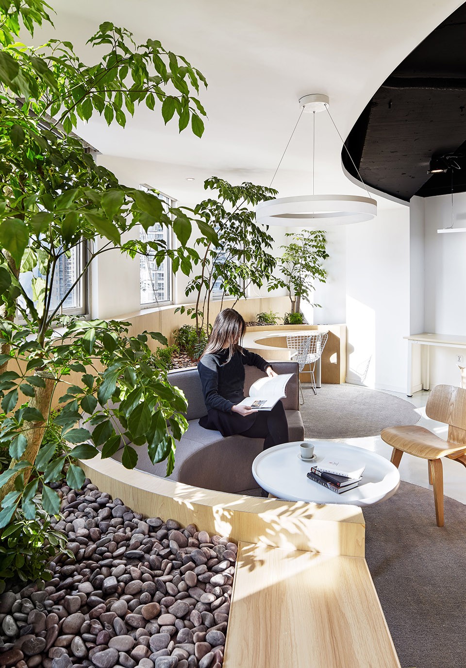 Scenic beauty meets elegance inside an office4