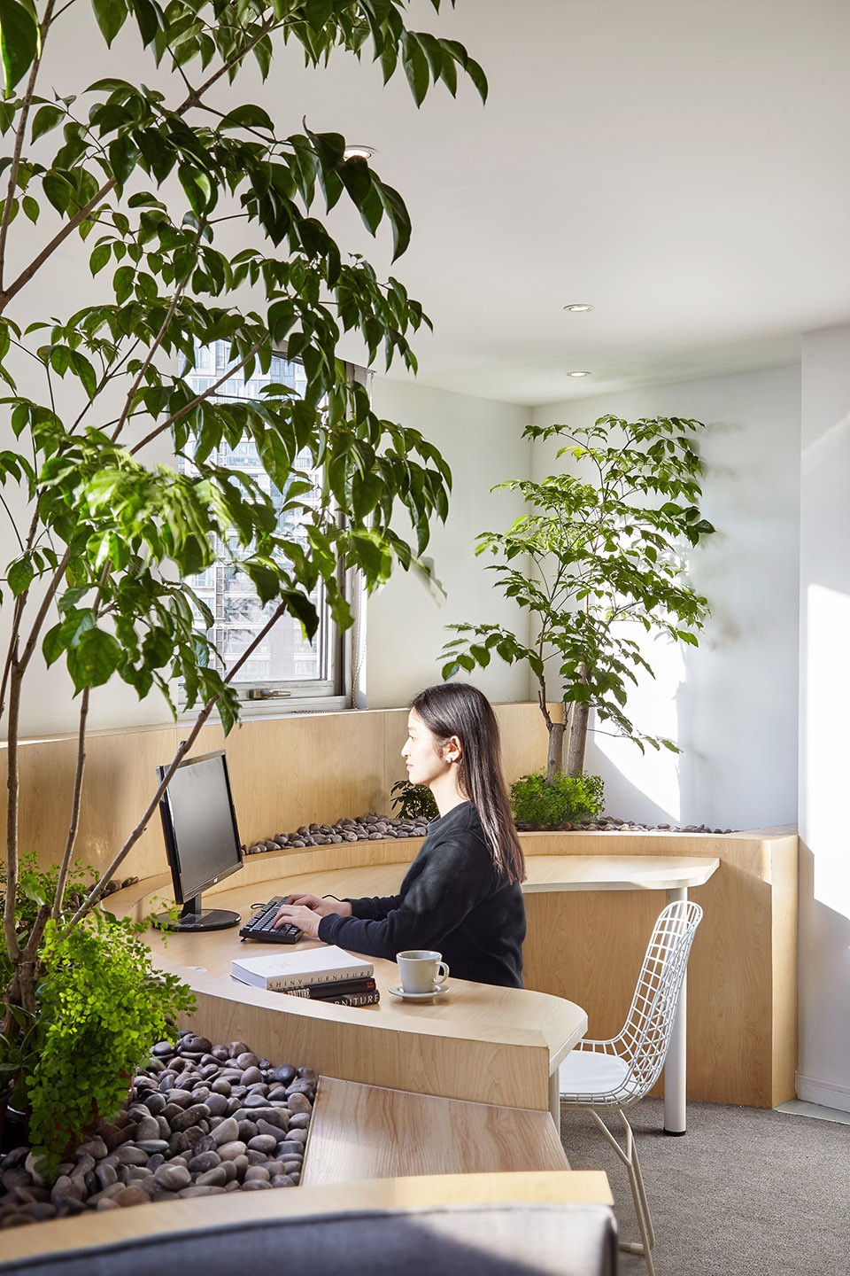 Scenic beauty meets elegance inside an office5