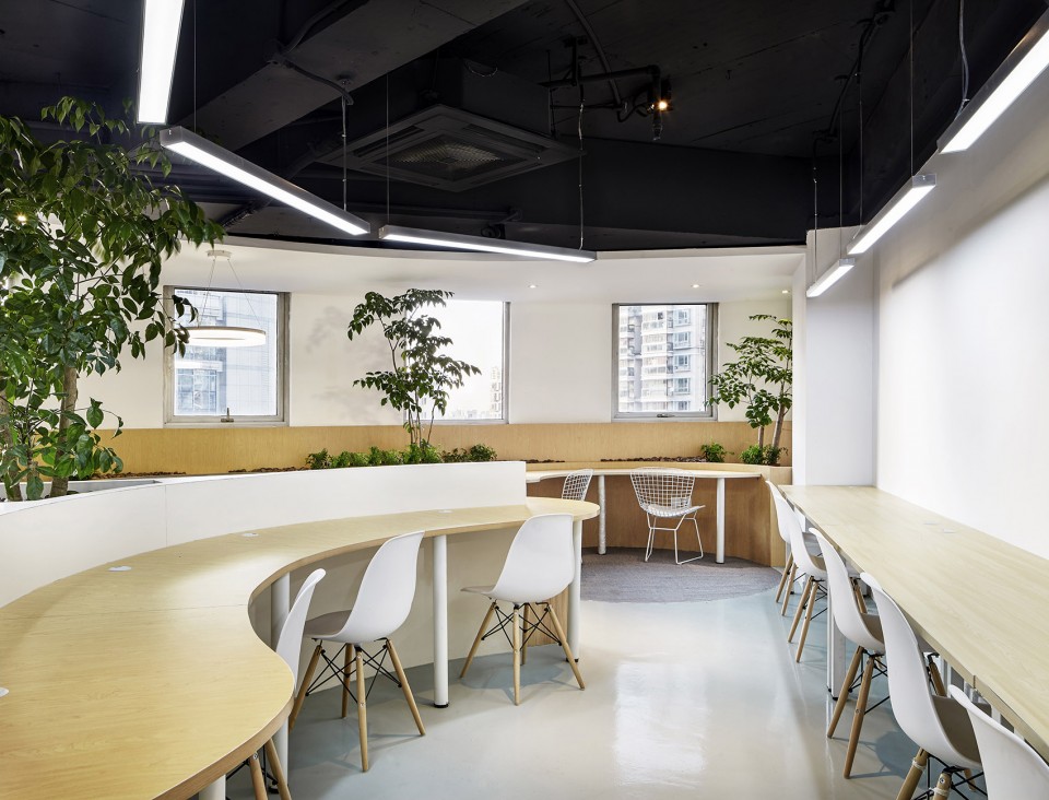 Scenic beauty meets elegance inside an office7