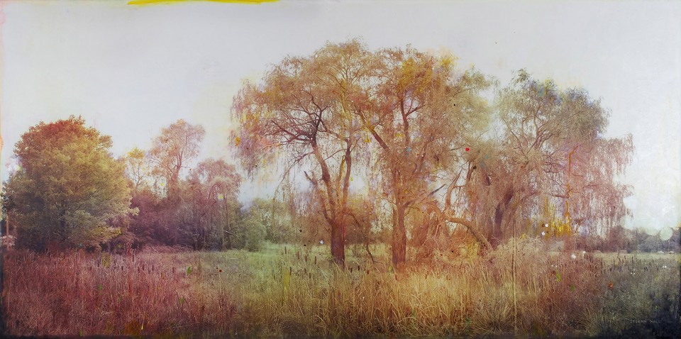 TheSearchNo.4.36x72.HQ.web