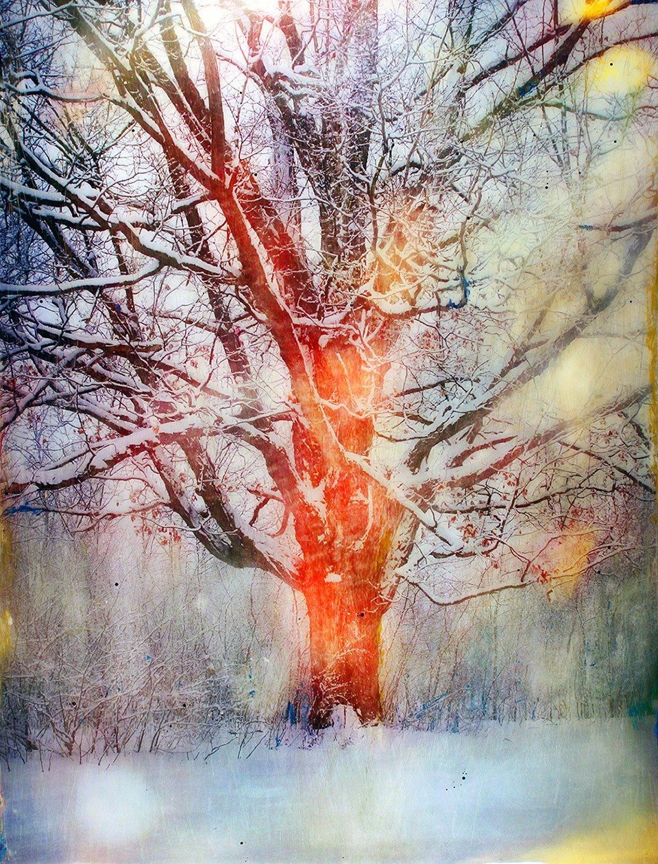 WinterTree.No.2.42x32.HQweb
