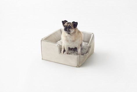 cubic_pet_goods06_akihiro_yoshida