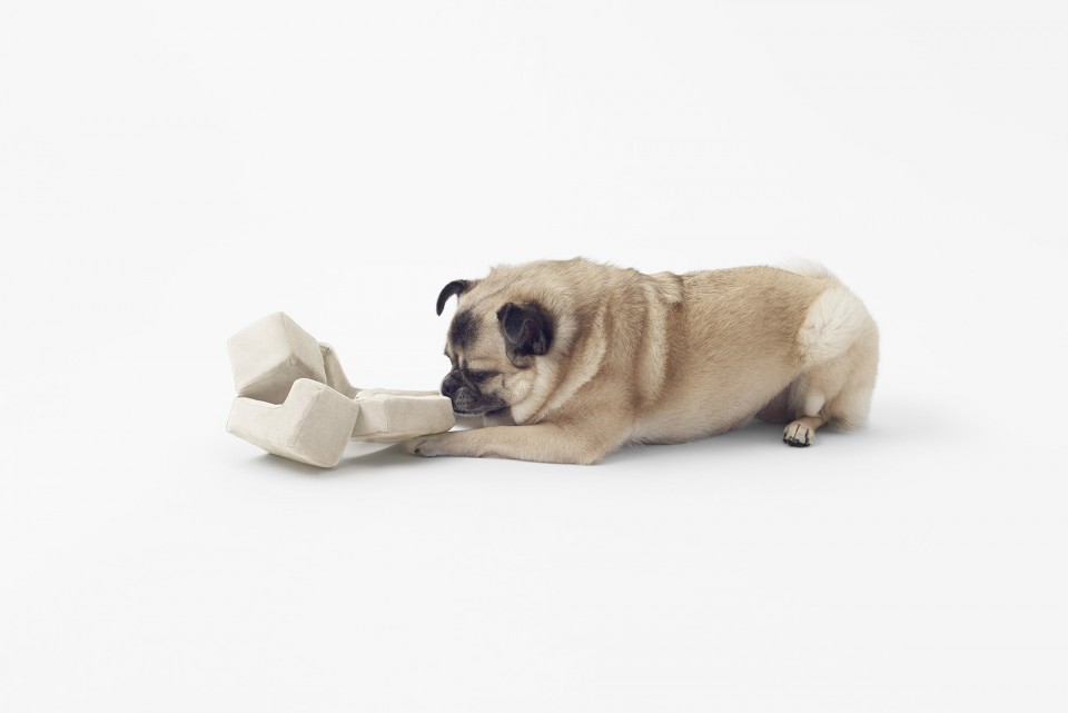 cubic_pet_goods26_akihiro_yoshida