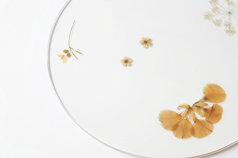 evergreen-platters-meike-harde06