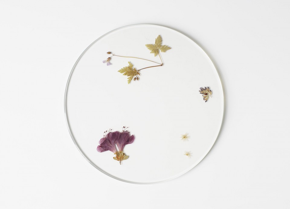 evergreen-platters-meike-harde08
