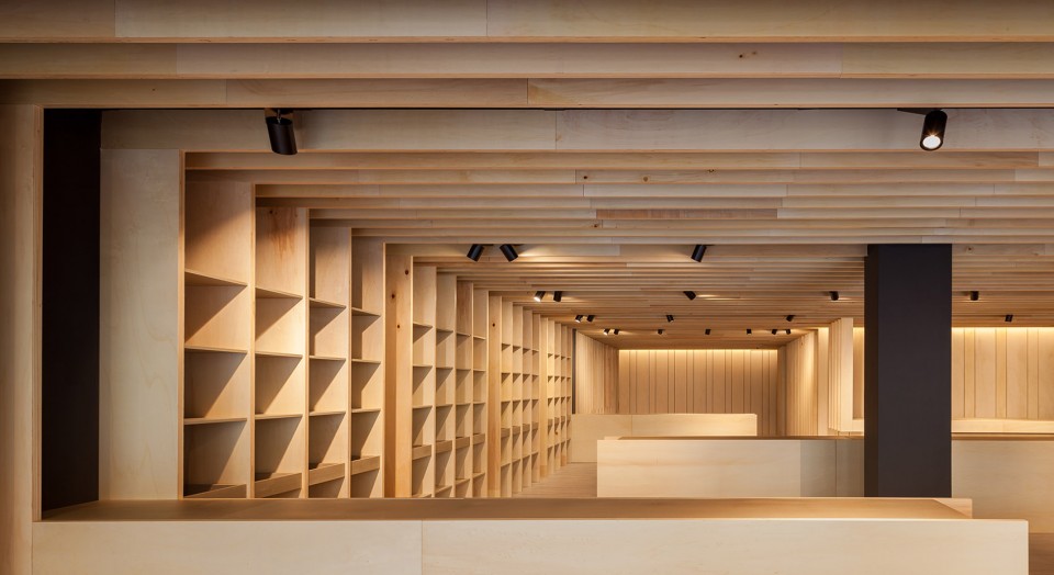 001-A Nap in Poplar Trees by arnau estudi d’arquitectura