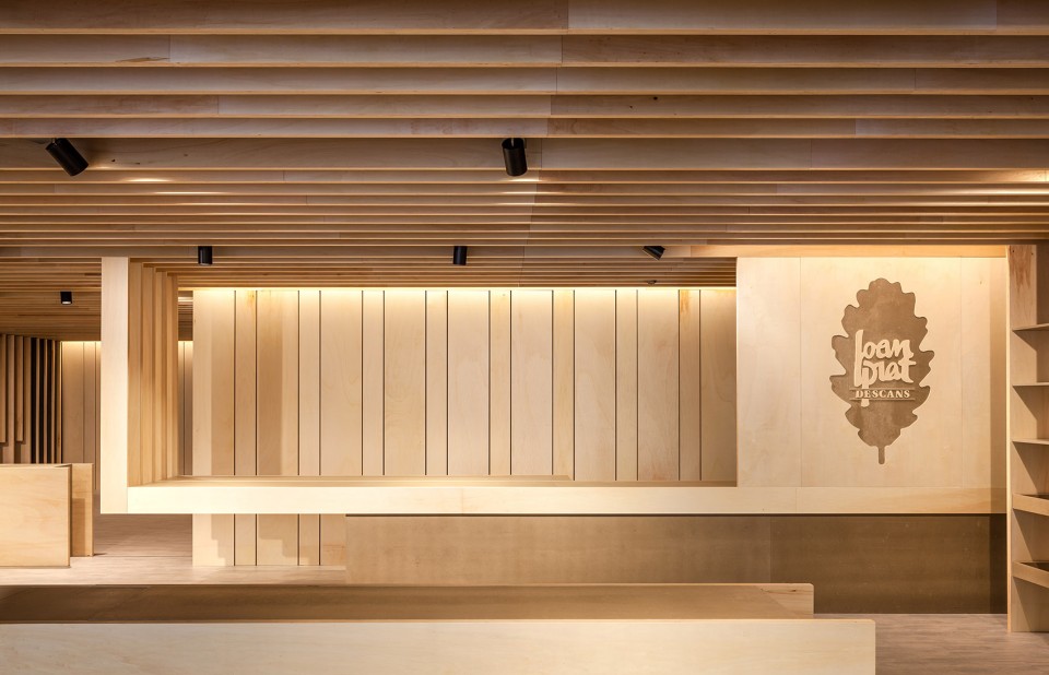 004-A Nap in Poplar Trees by arnau estudi d’arquitectura