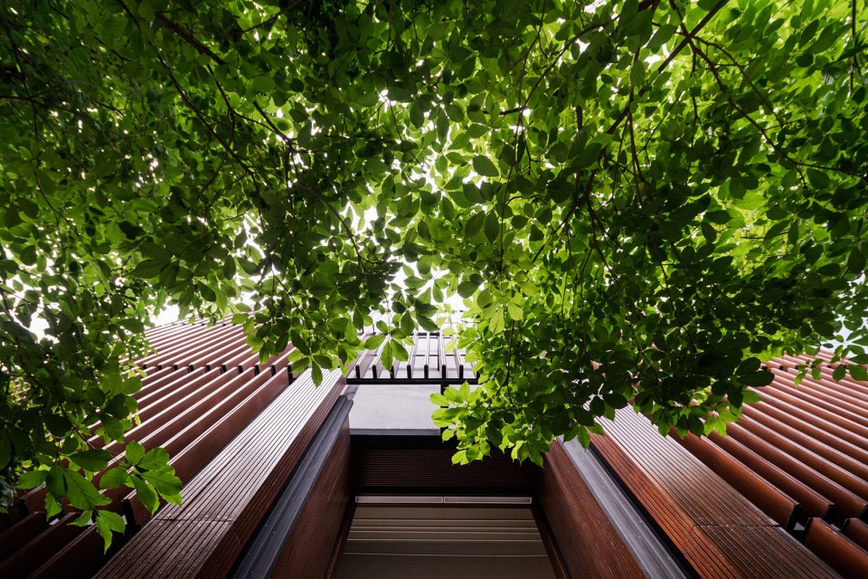 007-Ming Mongkol Green Park by Landscape Architects 49 Limited