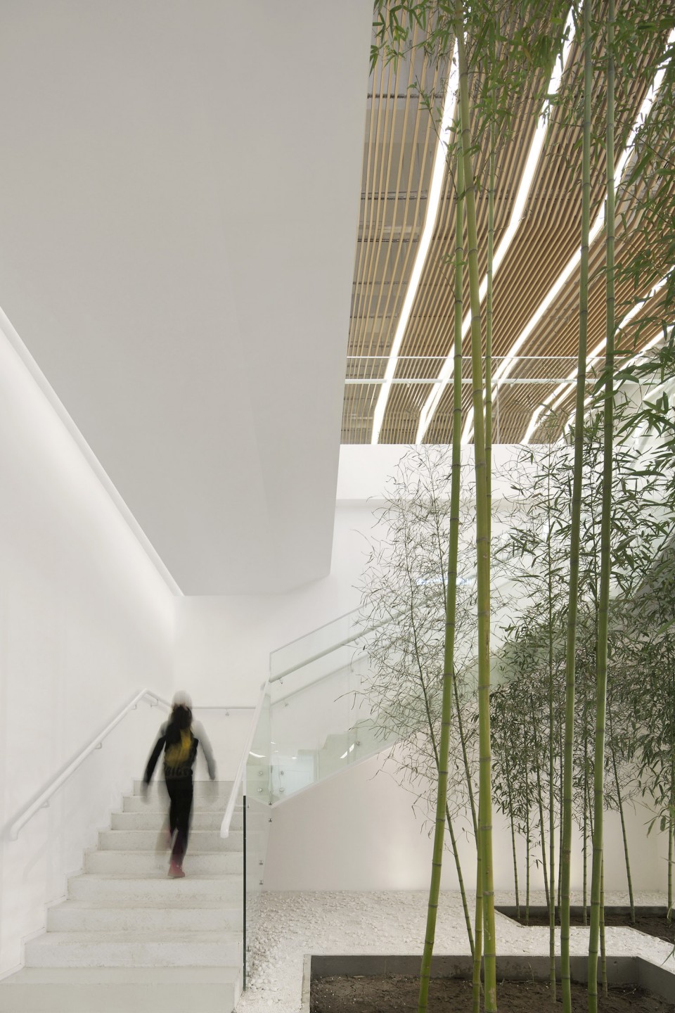 1-012竹林庭院 Bamboo Couryard Poly WeDo Education Institution by Arch Studio