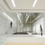 Poly WeDo Education Institution by Arch Studio