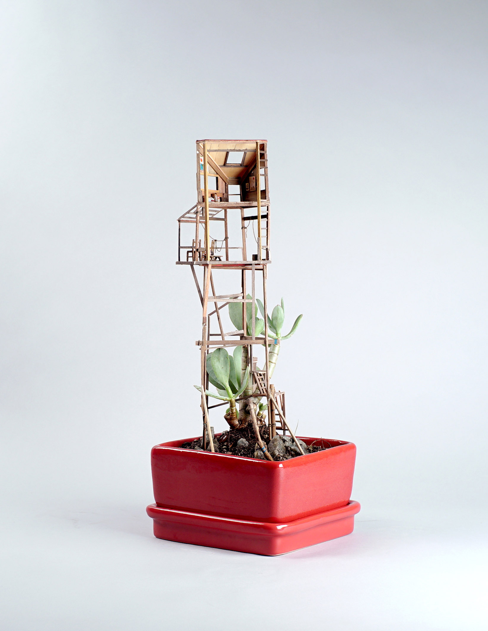 Miniature Treehouse Sculptures Jedediah Corwyn Voltz                