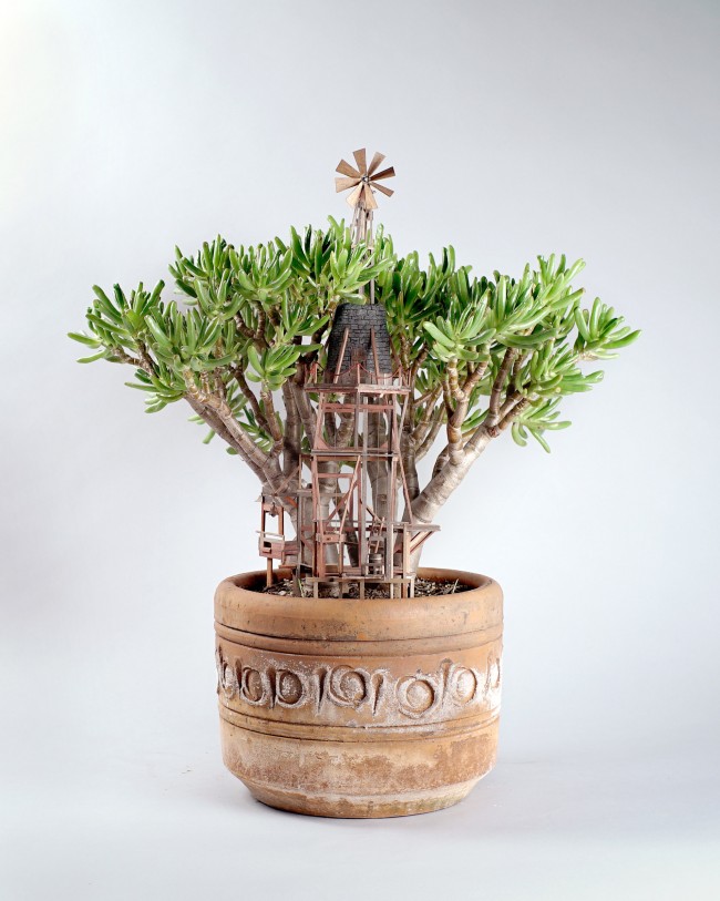 1- ss13 Jedediah Corwyn Voltz