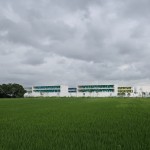 桃李园实验学校，上海嘉定 / 大舍建筑设计事务所
