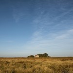 Saint Bernard教堂，阿根廷 / Nicolás Campodonico arquitecto