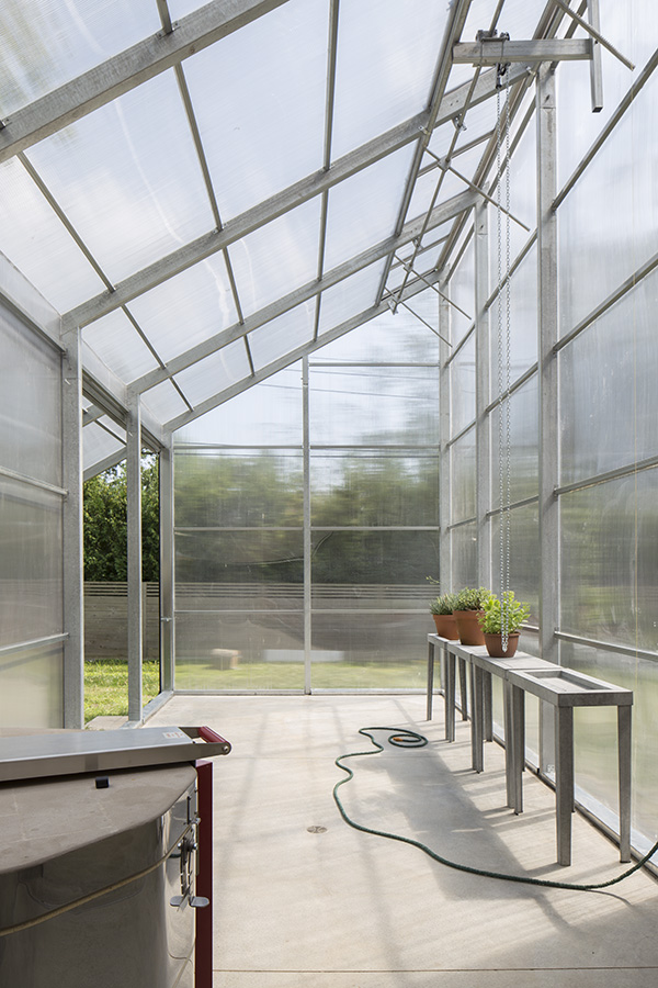 It (they) consists of seedlings in spring and plants in winter – clients with a very simple wish for maximum light and year-round above-f...
