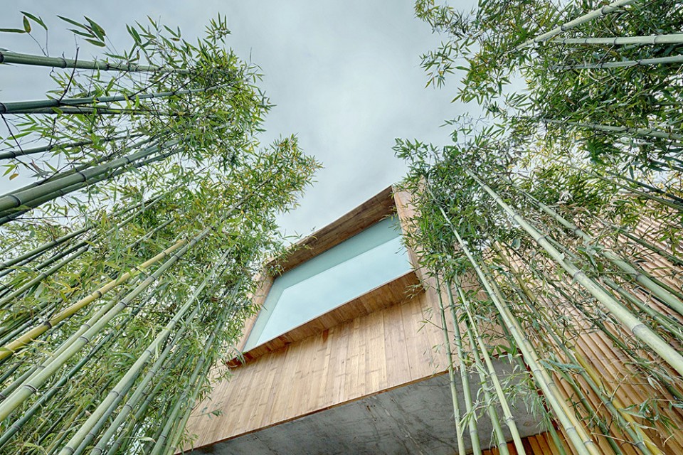 10-WEI_ElEV-WHY hotel-DETAIL1
