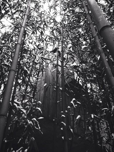 Processed with VSCOcam with b5 preset