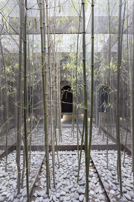 27_Bamboo Vault_by Brett Beyer