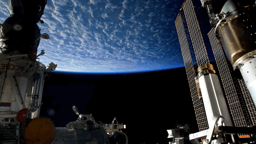 500_281gif 动态图 动图