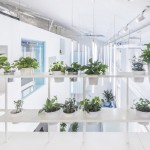 海狸工坊办公空间，北京 / MAT Office