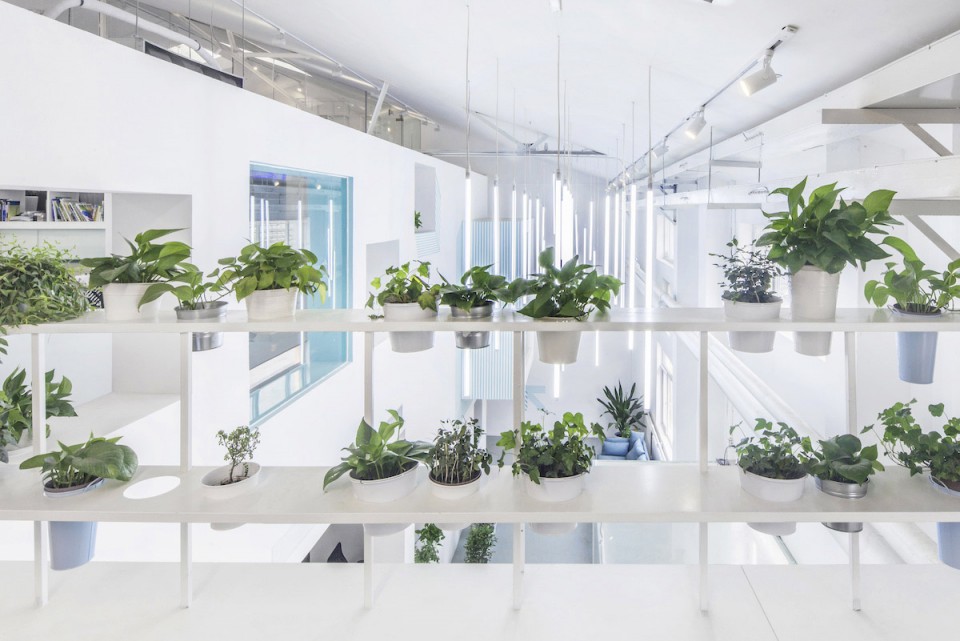 8-二层花架 Beaver Workshop Office Space by MAT Office