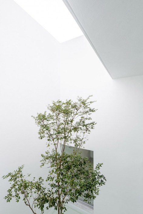 Casa V by Abraham Cota Paredes Arquitectos-021