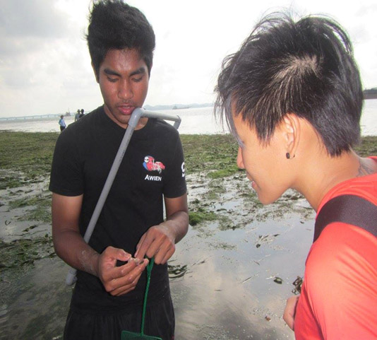 Forest City_10a