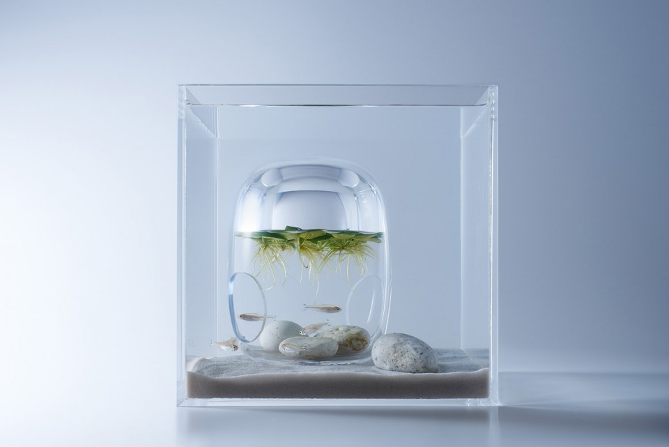waterscape_photo_02