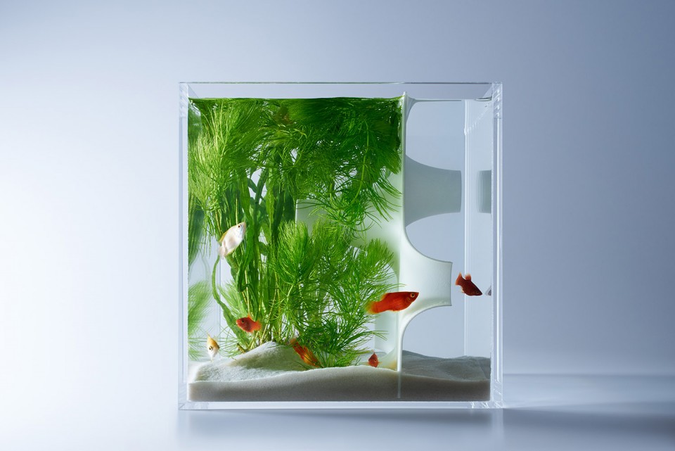 waterscape_photo_13
