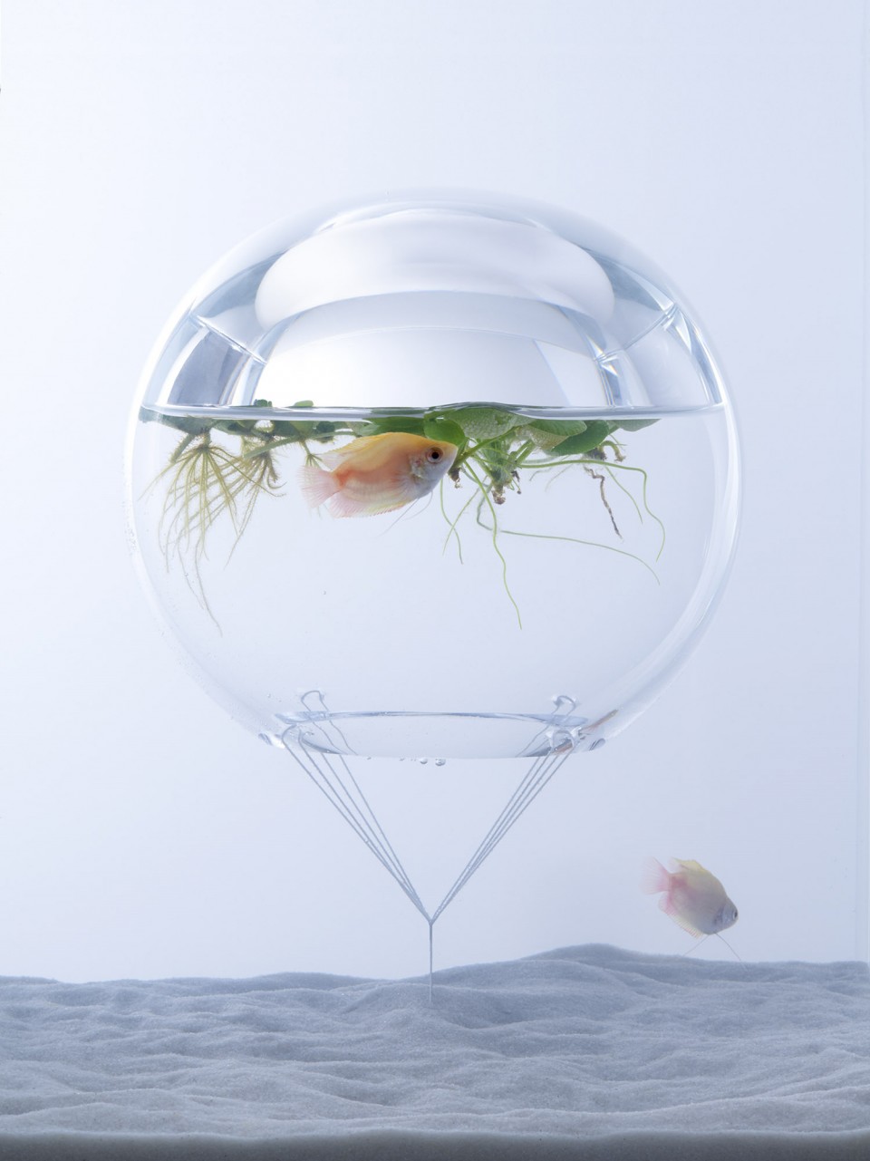 waterscape_photo_18