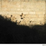 住宅设计，西班牙 / TEd’A arquitectes