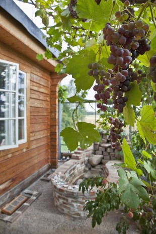 016- The Nature House by Tailor Made arkitekter