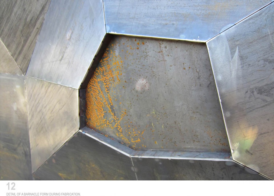 12-Metamorphous
